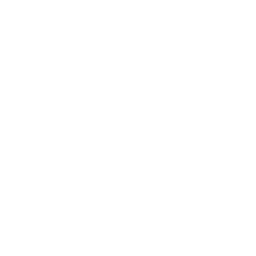 Mentoring & Training